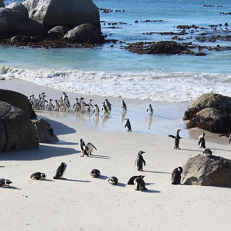 Boulders Beach House Simonʼs Town Exteriér fotografie